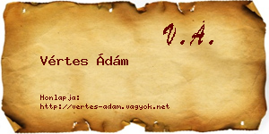 Vértes Ádám névjegykártya