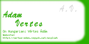 adam vertes business card